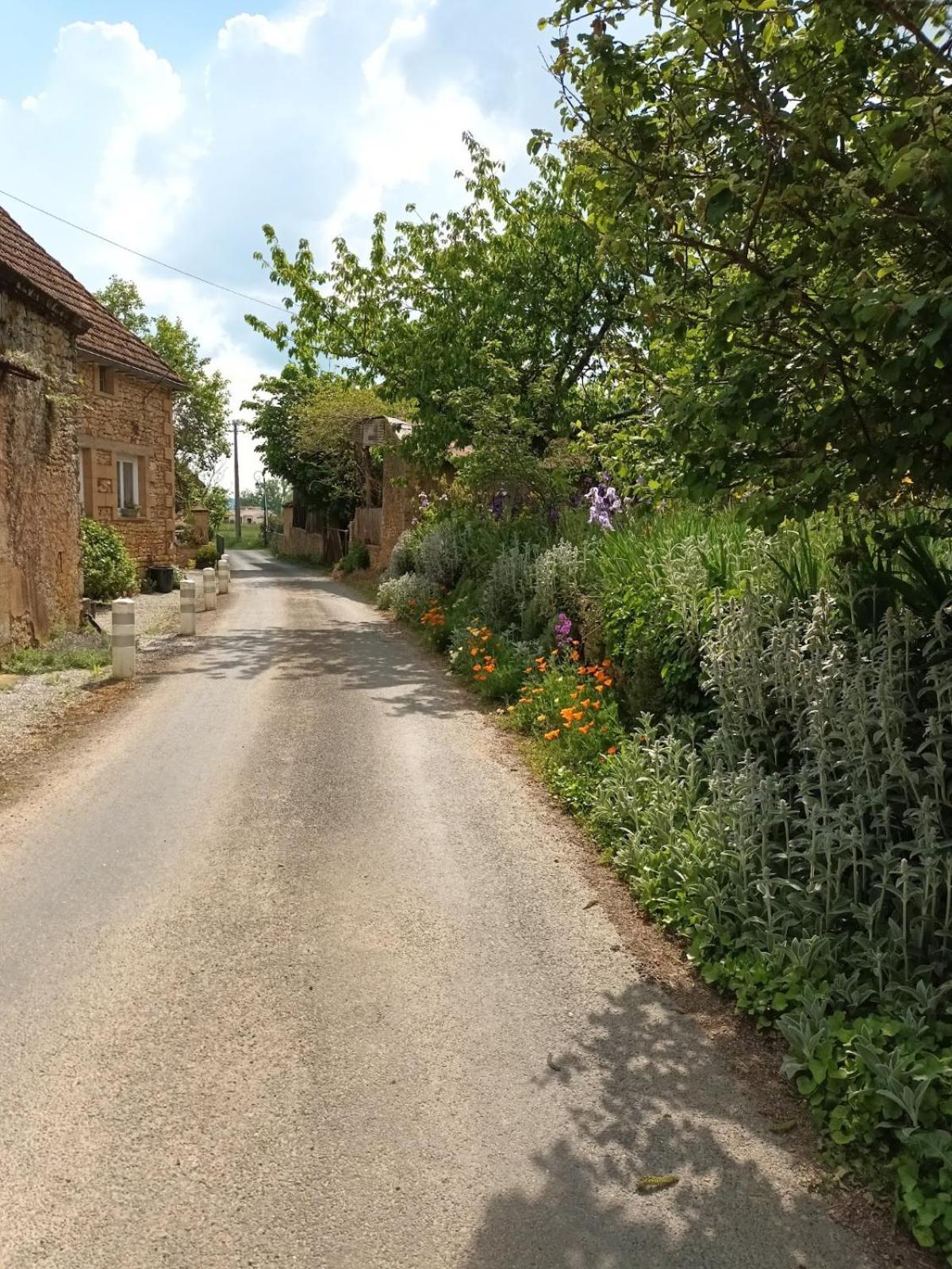 Hotel Ferme De Lagrave Coux-et-Bigaroque-Mouzens Esterno foto